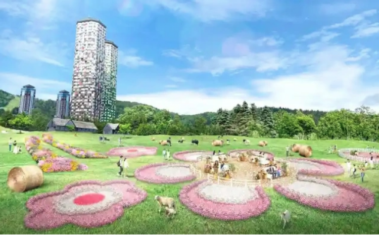 hoa anh đào khổng lồ